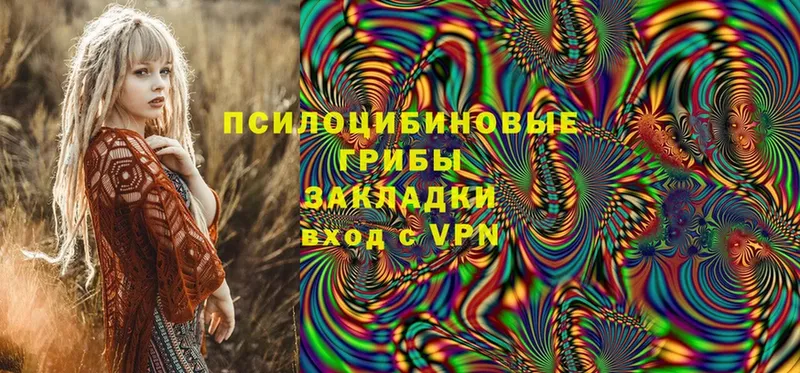 Псилоцибиновые грибы Psilocybe  это какой сайт  Андреаполь  МЕГА как войти 